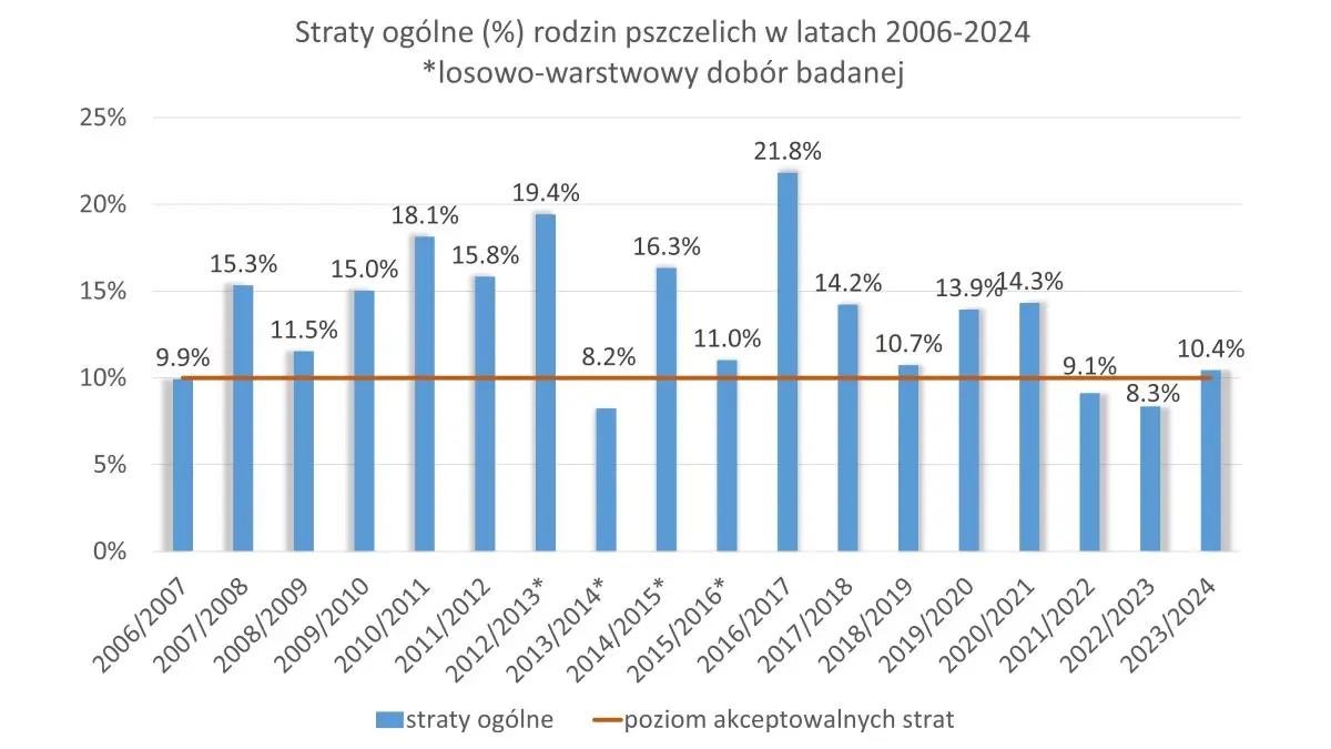 Wykres strat zimowych rodzin pszczelich w Polsce 2006-2024 wg badań SGGW